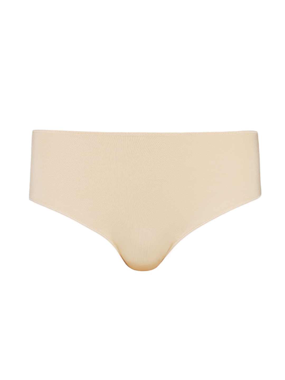 Briefs