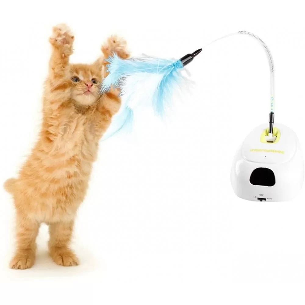 Cat toy