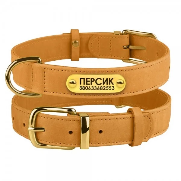 Collar